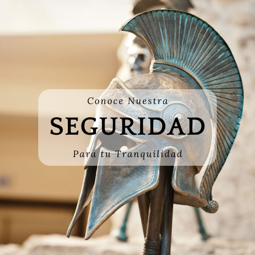 seguridad